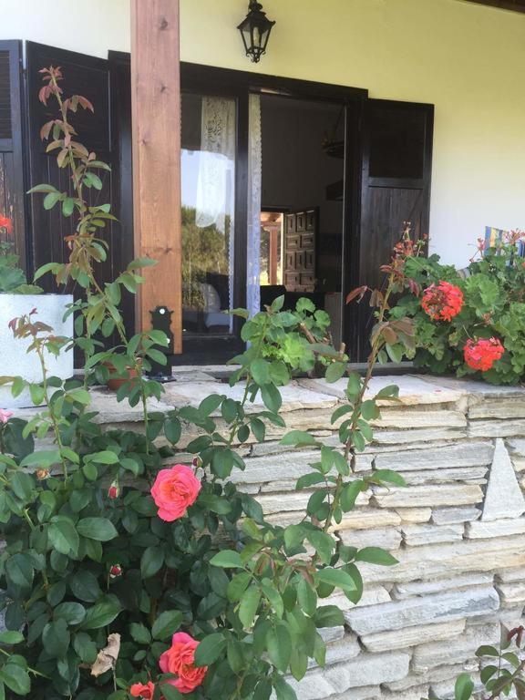 White Sand Villa Koviou Beach Nikiti Sithonia 外观 照片